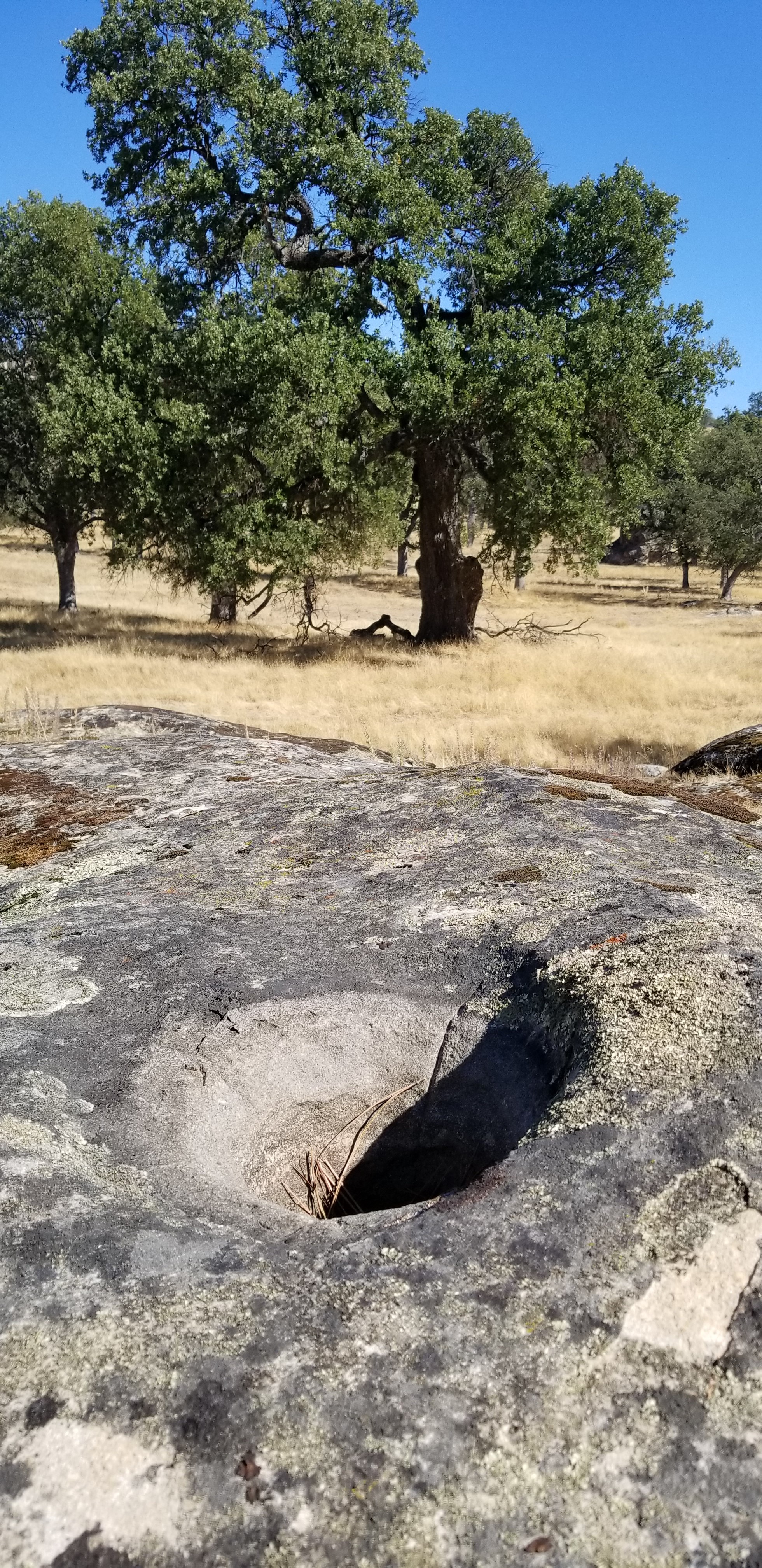 Rock outcrop with a carved circular hole and trees in the background