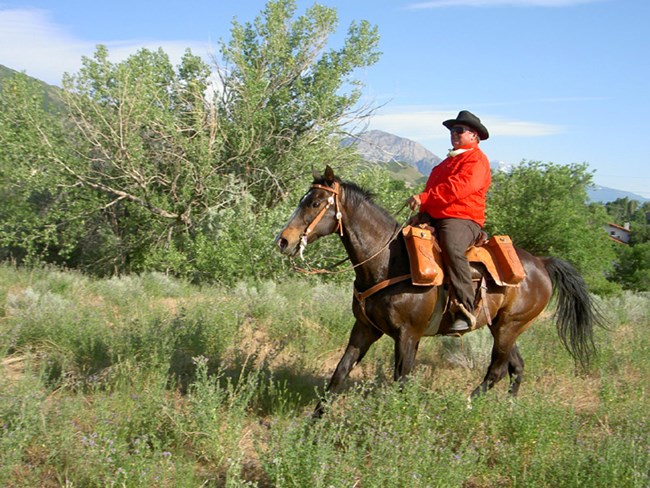 A man in a red shirt with a black cowboy hat, on a brown horse, riding through a grassy area.