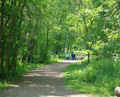 A forested trail