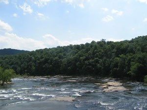 a view of rapids in a river and trees in the background