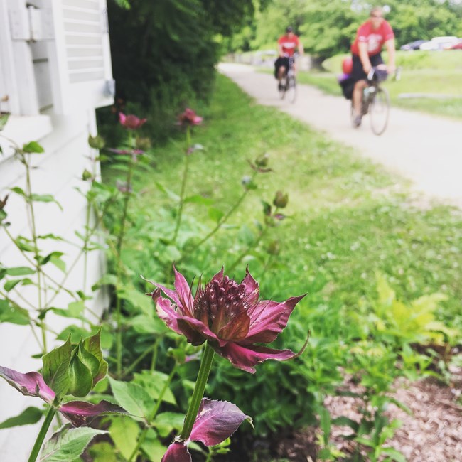 Visitors bike down the C & O Canal Towpath.