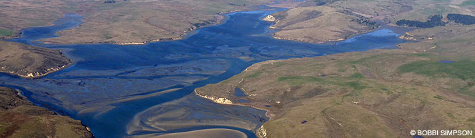 An aerial photograph of a shallow, roughly-hand-shaped estuary filled with sand bars surrounded by low, grass-covered hills and ridges