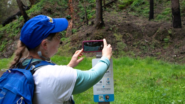 A woman in a blue baseball cap takes a photo with a smartphone at a photomonitoring site in the forest.