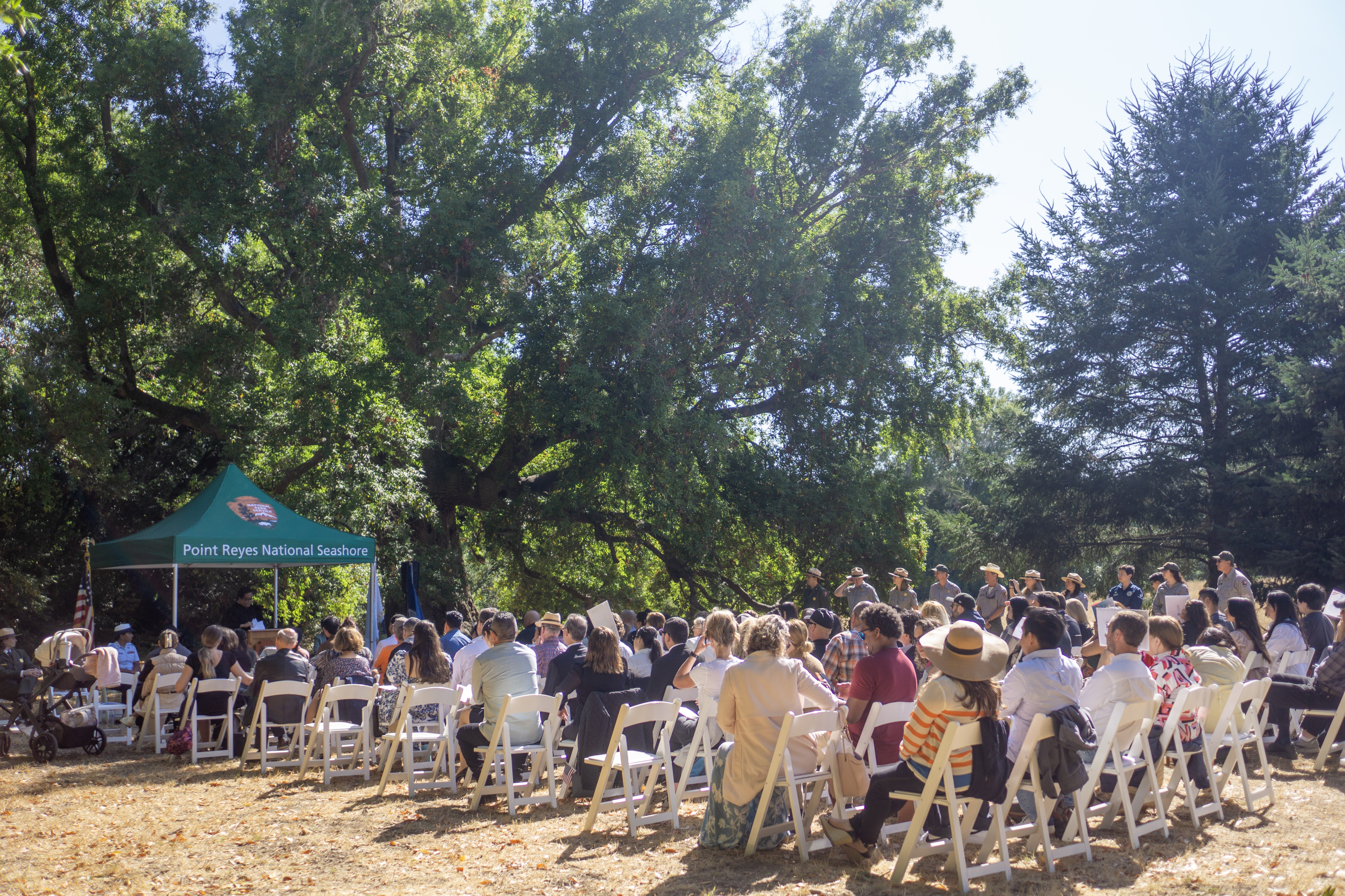 People sit in rows of white chairs on a sunny day under tall trees, facing a green pop up tent lined with flags.