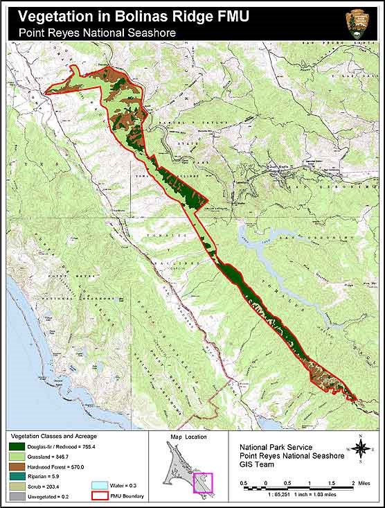 A vegetation map for the Bolinas Ridge Fire Management Unit in the north district of Golden Gate National Recreation Area.