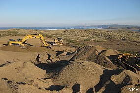 Coastal Dune Habitat Restoration Project: Excavator and bulldozers at pilot project area south of Abbotts Lagoon.