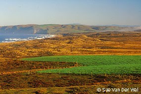 A photo of tan- and green-colored coastal grasslands and pasture with the ocean on the left in the distance.