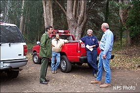 Four individuals standing and chatting adjacent to vehicles at the edge of a grove of trees.