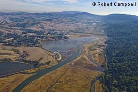 Aerial photograph looking south across the Giacomini Wetlands immediately after the Giacomini Ranch levees were breached. © Robert Campbell