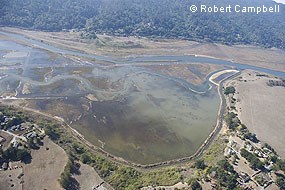 Aerial photograph of the Shallow Shorebird area in the northeastern portion of the East Pasture. © Robert Campbell