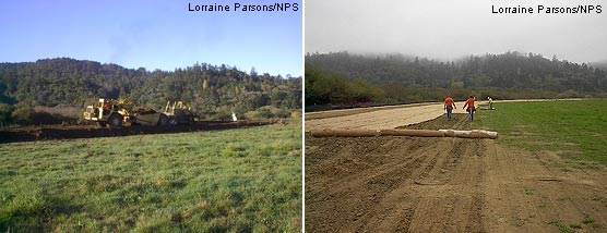 Giacomini Wetland Restoration Project: Levee Removal: Scrapers were used to shave the levee (left), and erosion control blanket was placed to stabilize disturbed soils (right).