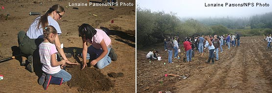 Students from West Marin Elementary work with school outreach coordinator Leslie Adler-Ivanbrook on planting buckeyes grown by students last year (right) and students from Tomales plant riparian trees and shrubs along Lagunitas Creek (left).