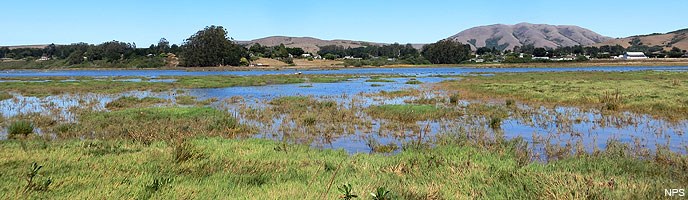 A view looking east across the Giacomini Wetlands toward Point Reyes Station and Black Mountain on September 9, 2013.