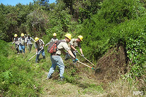 YCC crew members clearing brush along a section of Muddy Hollow Road Trail.