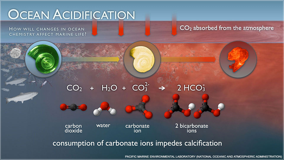 Ocean Acidification - Point Reyes National Seashore (U.S. National Park ...