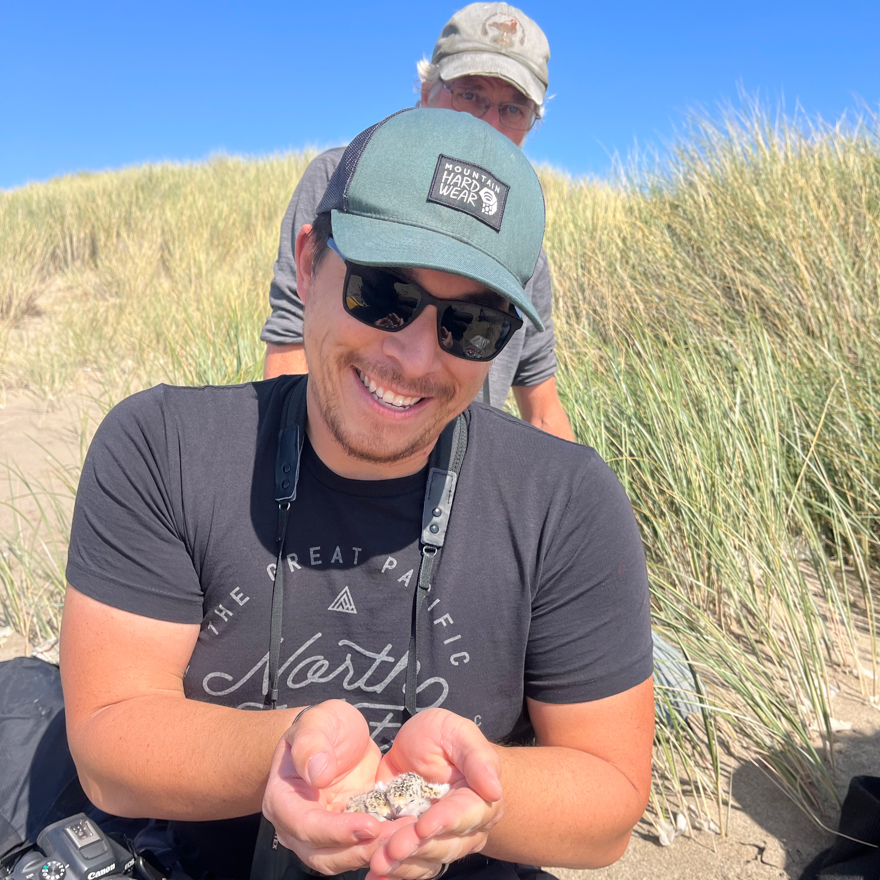 A photo of a man wearing a black t-shirt and green ballcap holding a small black-speckled, beige-colored shorebird chick in his hands.