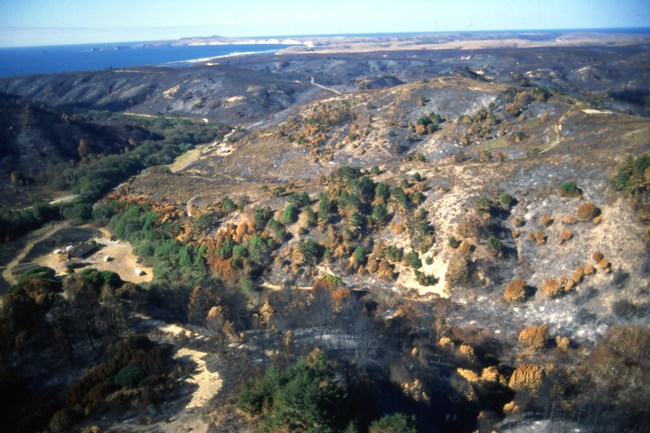 An aerial photo of burnt hills surrounding unburnt trees around a small cluster of buildings in a valley floor.