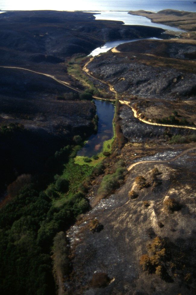 An aerial photo of a shallow valley in which the vegetation in the valley floor is green but the vegetation on the surrounding hills is burnt.