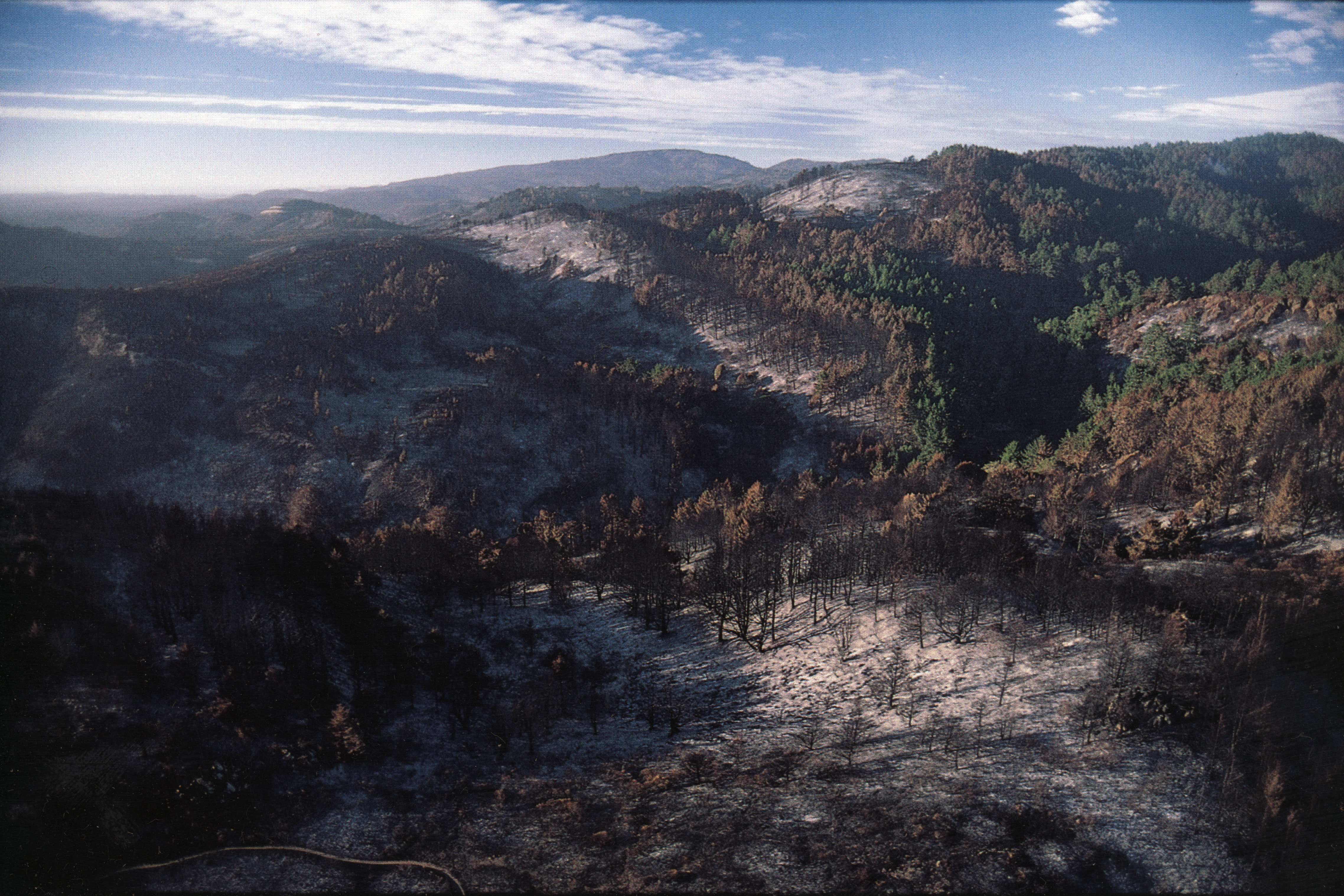 pic-vision-fire-burn-area-looking-toward-mount-vision-1995-4508x3005.jpg?maxwidth\u003d1300\u0026maxheight\u003d1300\u0026autorotate\u003dfalse