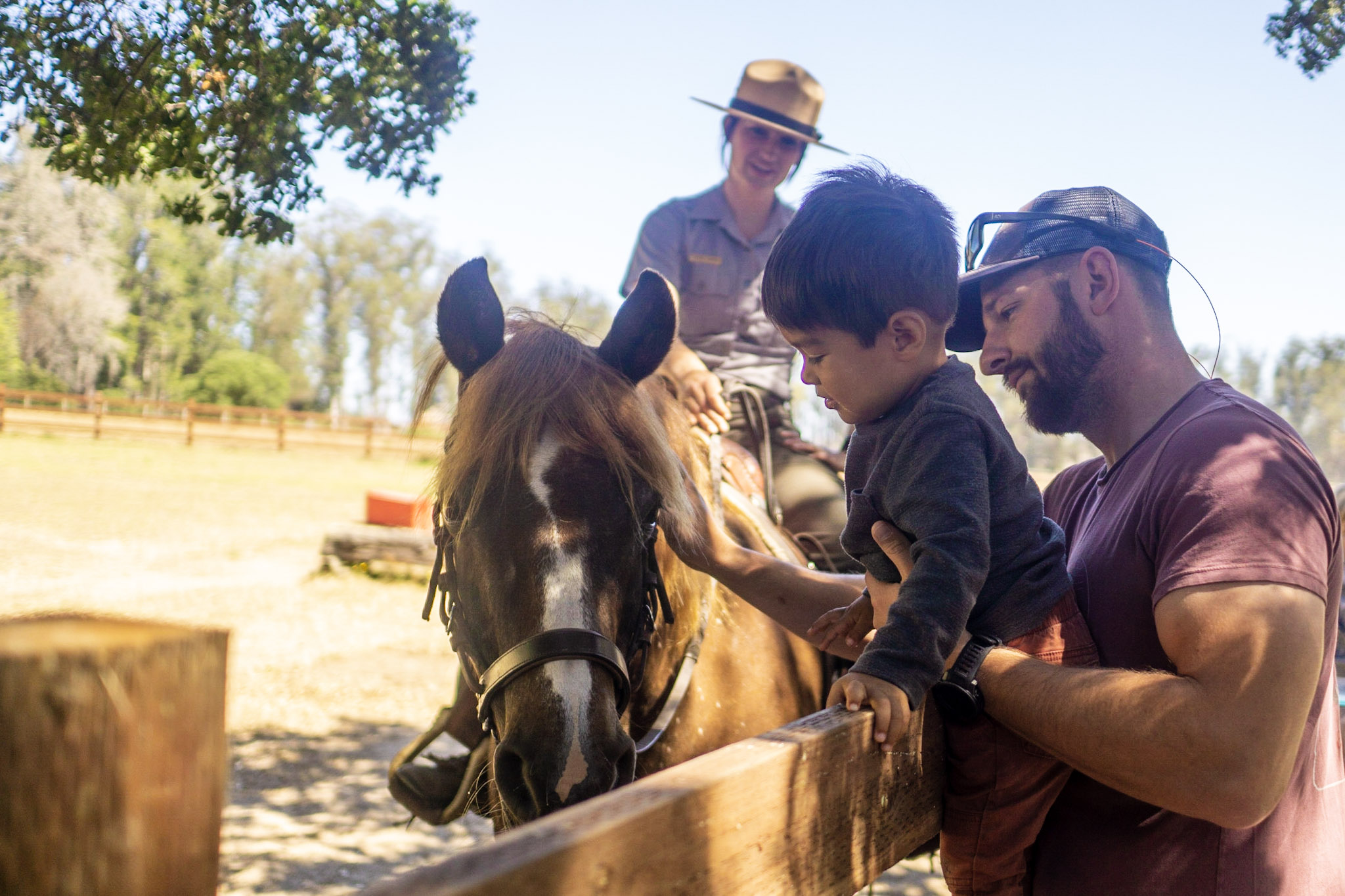 A man holds a small boy up over a wooden fence so that he can pet the head of a Morgan horse on which a female ranger sits.