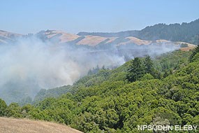 Fire on Bolinas Ridge near the Jewell Trail junction on July 23, 2012, at 2:30 pm.