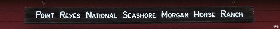 A wooden sign reading "Point Reyes National Seashore Morgan Horse Ranch."
