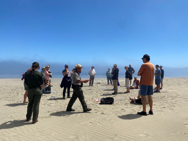 A ranger walks through a group of fifteen people on a sunny beach, while fog hangs on the horizon.