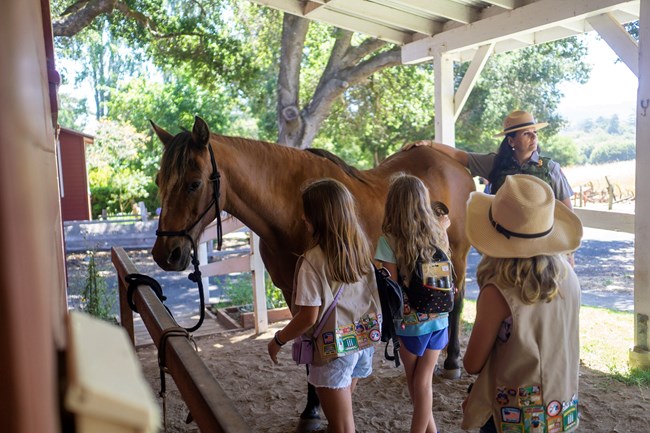 Three young girls pet and groom a brown horse while a park ranger looks on.