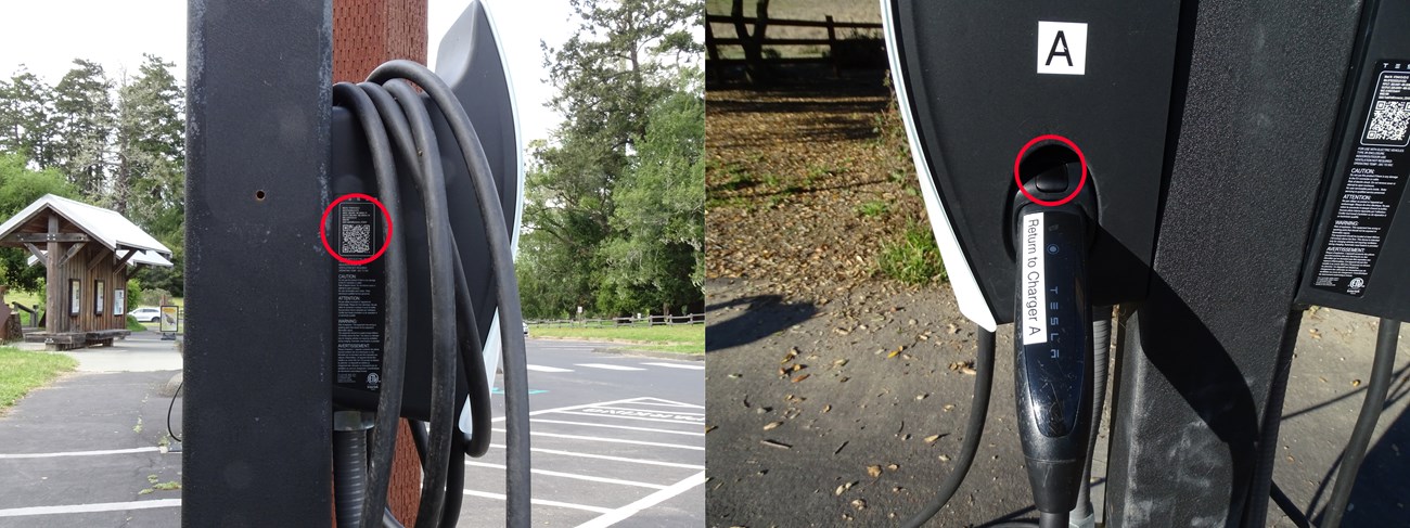 Two photos of a Tesla charging station. The one of the left is of the side of the charger with a circle highlighting a QR code. The one on the right is of the plug with a circle highlighting a button one needs to press to release a J1772 adapter.