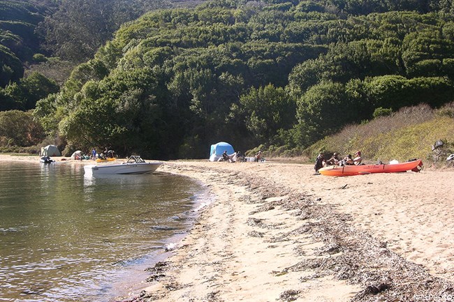 Three groups of campers with tents, kayaks, and a motorboat on a beach.