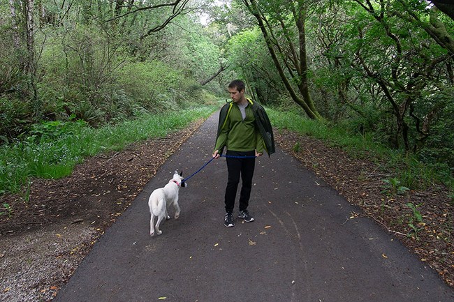A man wearing a green jacket and black pants walks a medium-sized white dog along an asphalt path through the woods.