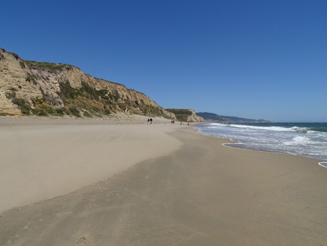 Ten people in the distance walk or sit on a sandy beach with beige bluffs rising on the left and the ocean on the right.