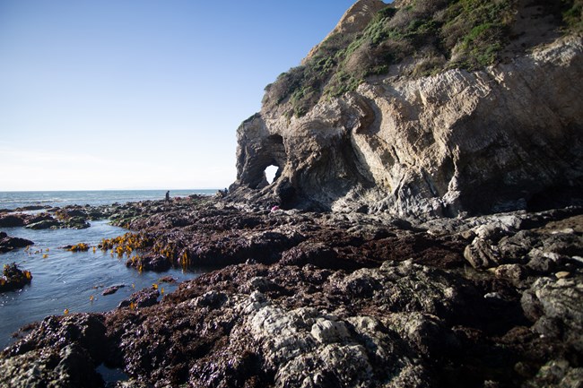 Seven people explore rocky tidepools with the ocean on the left and a small headland pierced by a small keyhole opening on the right.