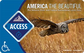 Image of the 2021 Interagency Access Pass, which features an image of a great gray owl flying over a field of brown grass.