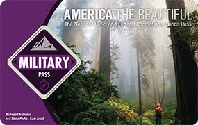 Image of the 2021 Interagency Annual Pass for Active U.S. Military (and Their Dependents), Veterans, and Gold Star Families, which features a female hiker standing in a mist-shrouded redwood forest.