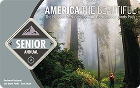 Image of the 2021 Interagency Annual Senior Pass, which features a female hiker standing in a mist-shrouded redwood forest.
