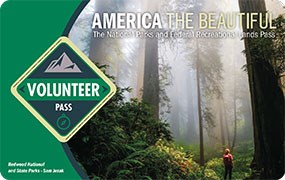Image of the 2021 Interagency Volunteer Annual Pass, which features a female hiker standing in a mist-shrouded redwood forest.
