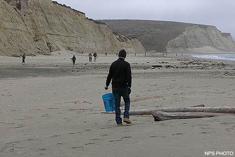 Fifteen people widely scattered across a beach carrying buckets search for marine debris. Tan bluffs rise from the beach on the left, waves wash ashore in the center far right.
