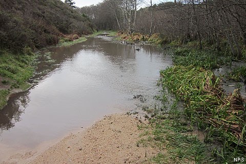 Water flooding across the Coast Trail ~1 mile south of the Hostel on January 23, 2012.