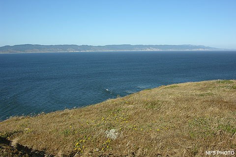 Drakes Bay with grass and wildflowers in the foreground and Inverness Ridge in the background.
