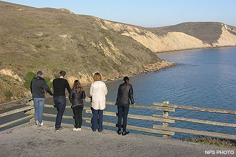Five visitors in the foreground look down from a bluff-top overlook at elephant seals that are on narrow beaches at the base of sloping bluffs in the distance.