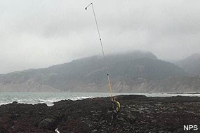 Researcher carrying a 20+-foot pole, on the end of which is a camera used for high resolution aerial mapping of the rocky intertidal zone.
