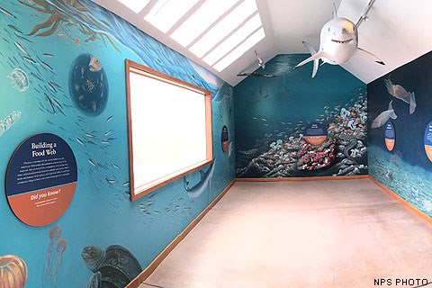 The northern wall of the Ocean Exploration Center. A model of a white shark is suspended from the ceiling. Murals depicting life below the surface of the ocean are painted on the walls. A large picture window is on the left side of the image.