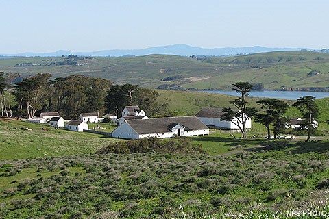 A historic dairy ranch composed of many white-painted buildings surrounded by green grass and a few trees.