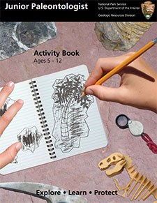 Jr Paleontologist Activity Book