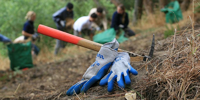 Gloves and pick with volunteers in background