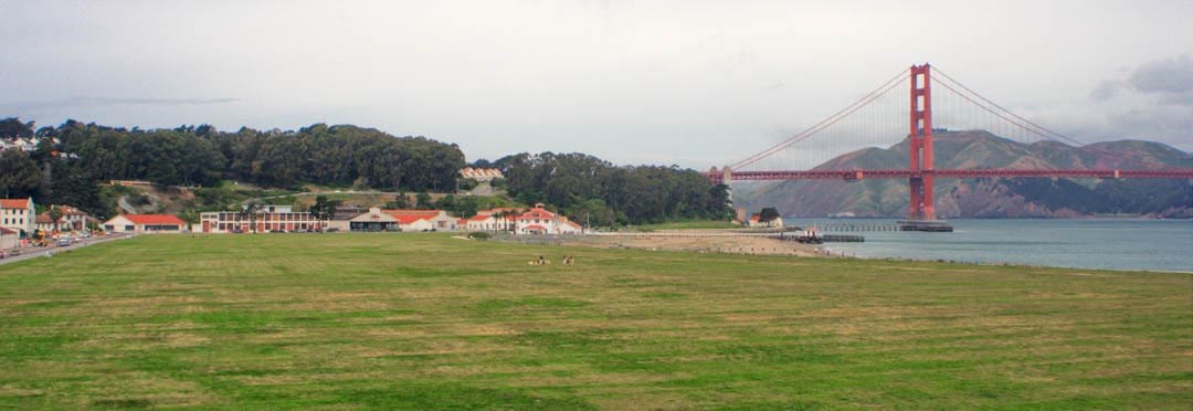 grass over crissy airfield with golden gate bridge in the background