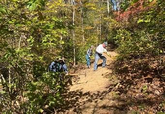 Three people use hand tools to clear ground on a trail in a green forest on a sunny day