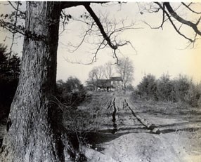 Historic image of a farm on land that is now Prince William Forest Park