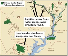 map of areas where sponges are found